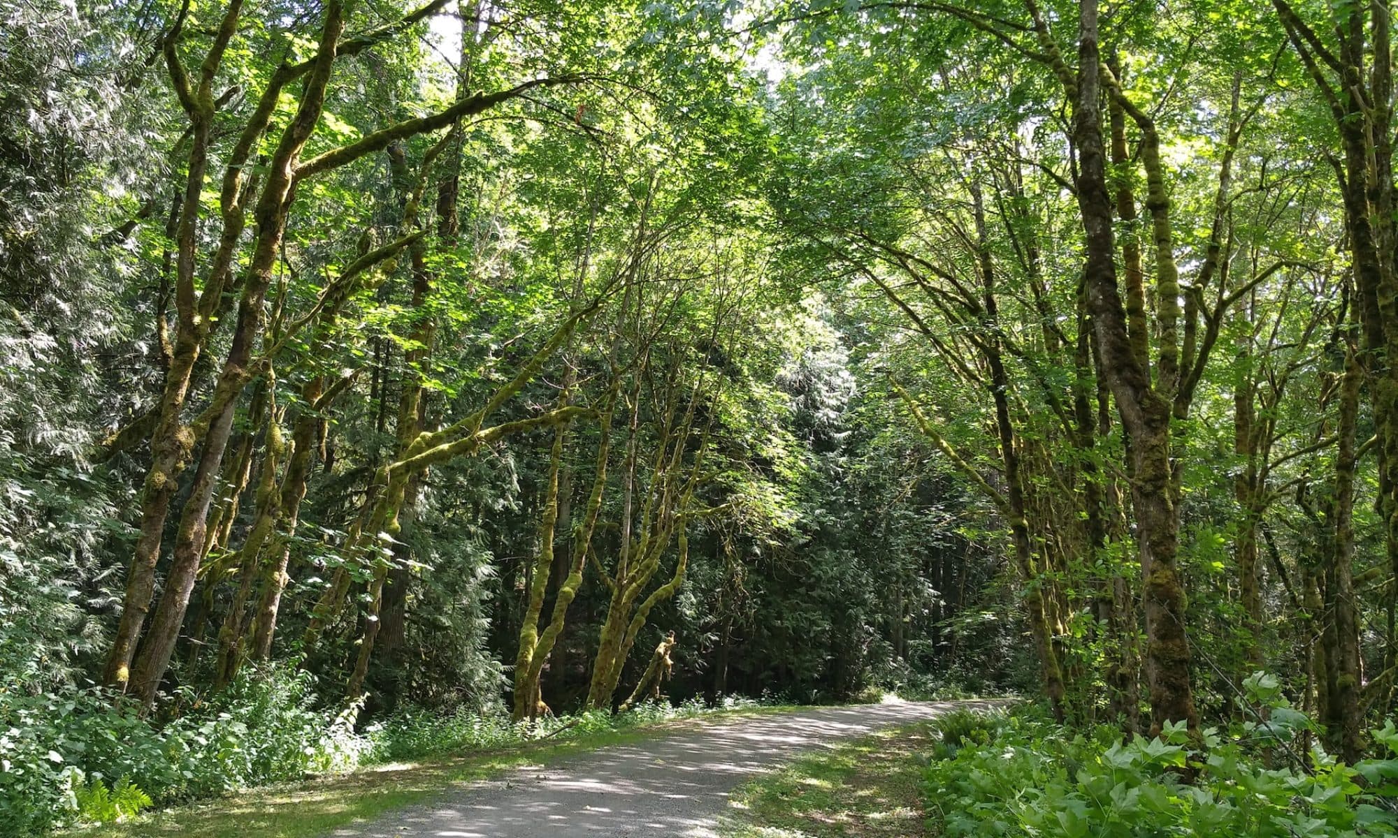 A Survey of the 7 Configuration Changes That Turn a Multi-homed Linux Host into a Switch/Router – blog