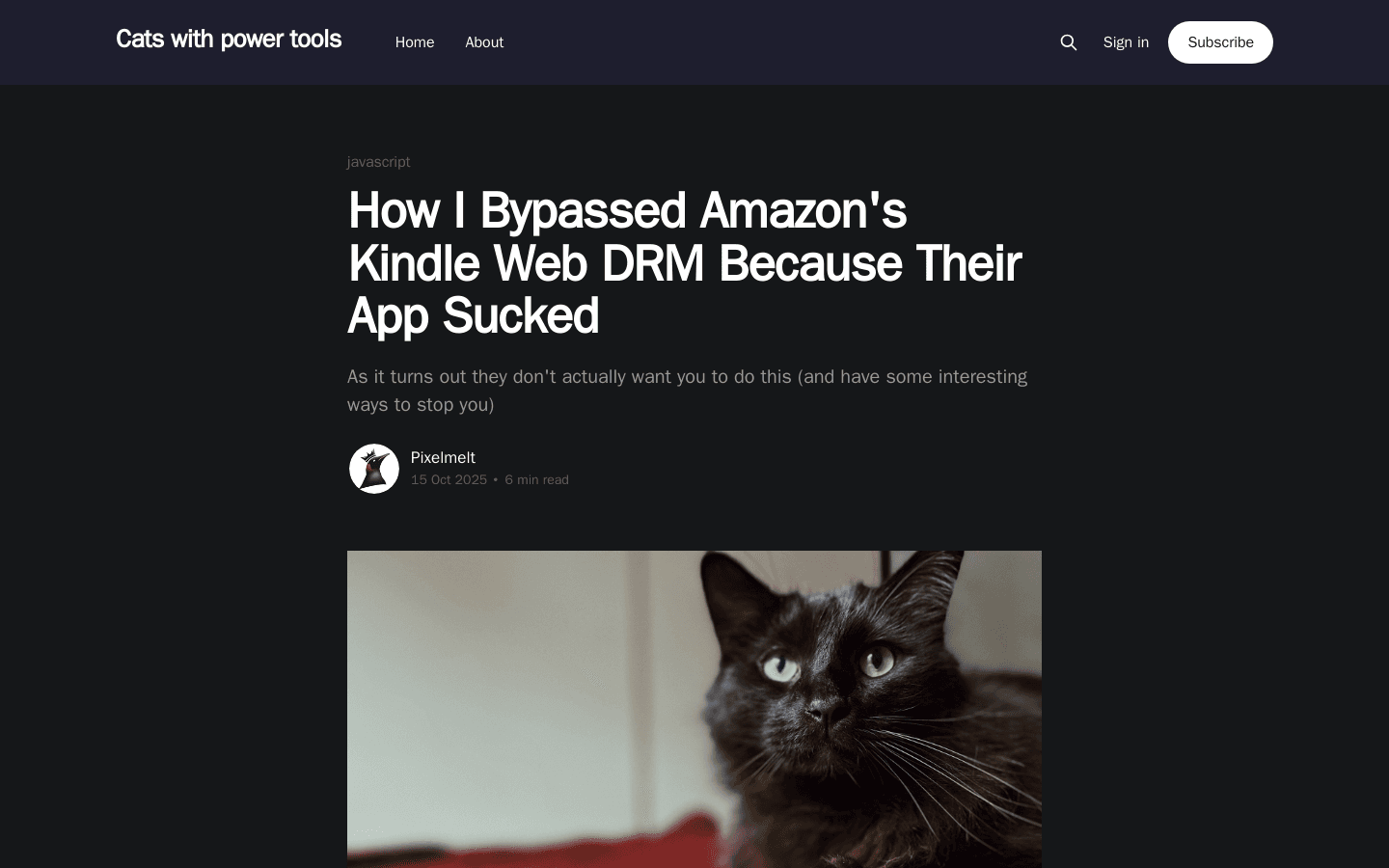 How Amazon Kindle uses Glyphs for its DRM