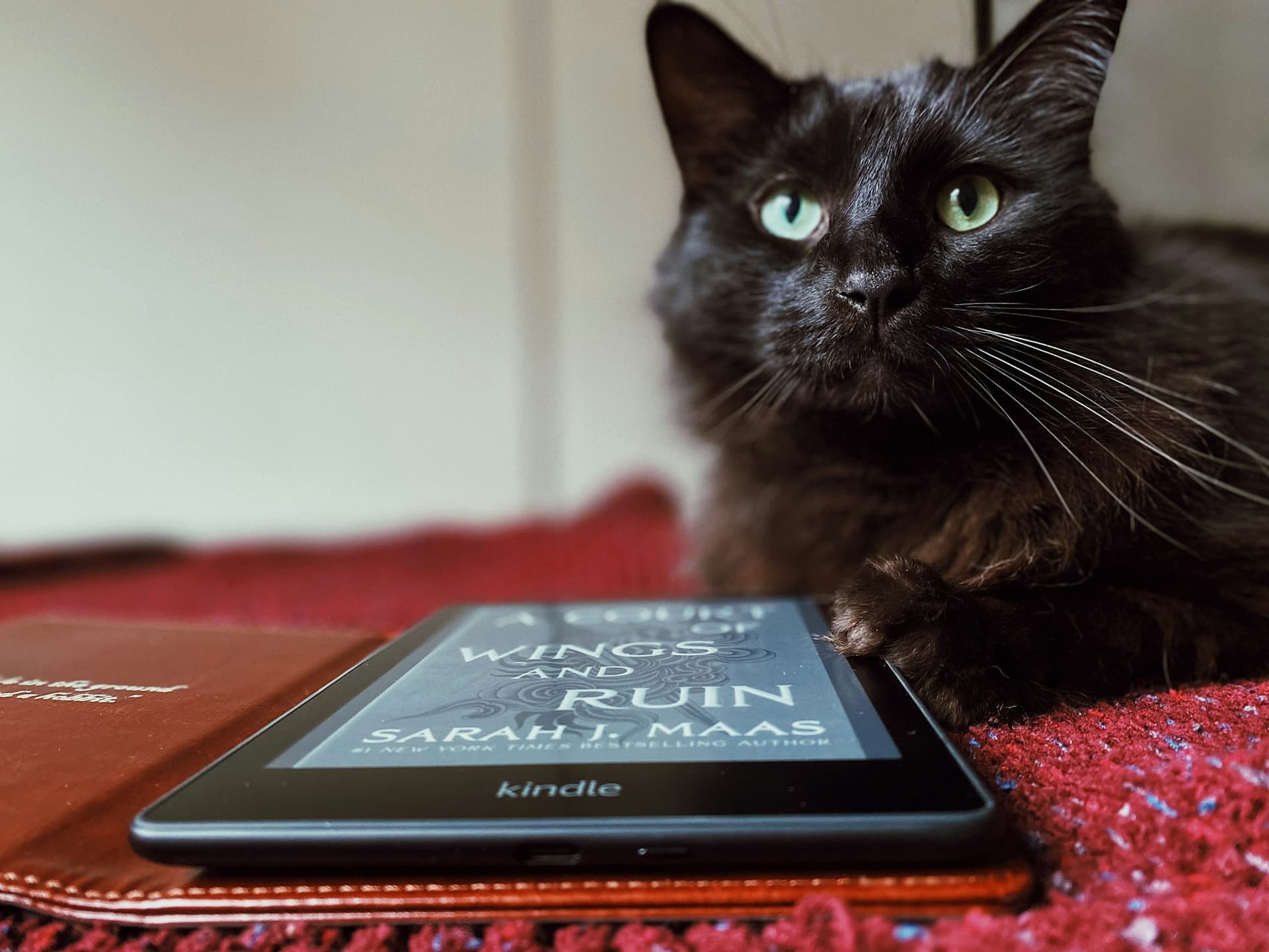 How Amazon Kindle uses Glyphs for its DRM