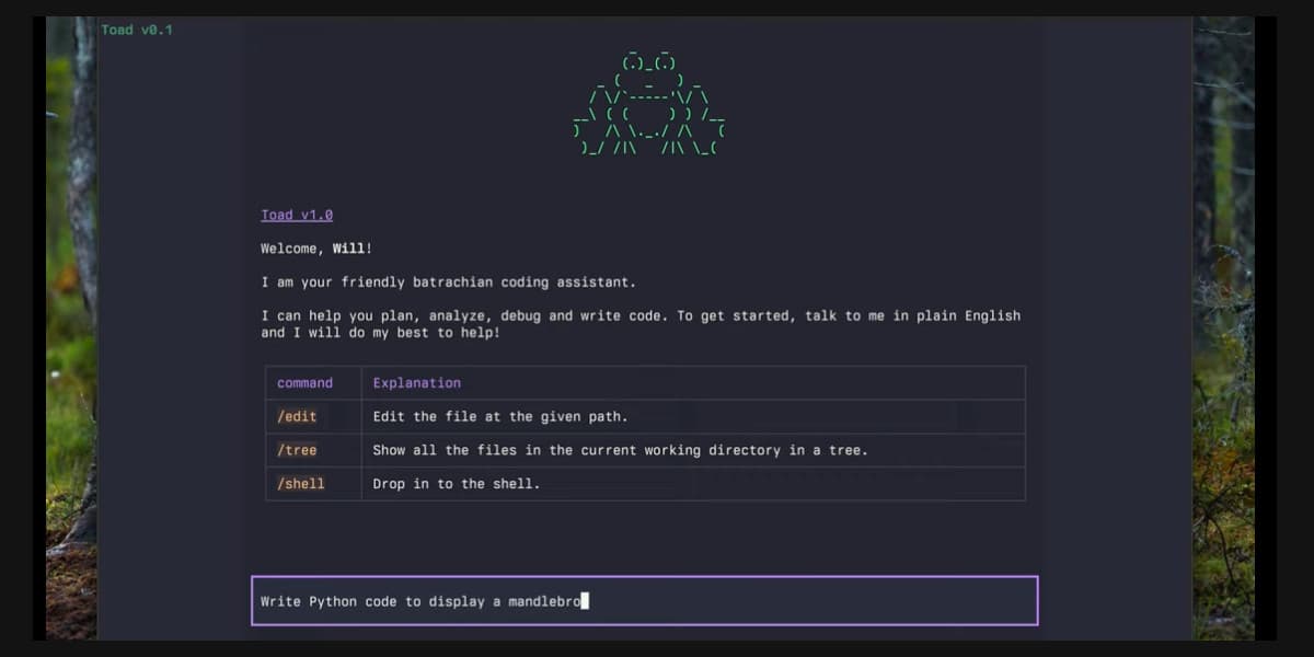 Announcing Toad—a universal UI for agentic coding in the terminal